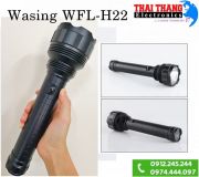 den-pin-wasing-wflh22