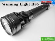 den-pin-hid-xenon-85w-winning-light-h85-usa