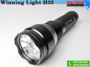 den-pin-hid-xenon-35w-winning-light-h35-usa
